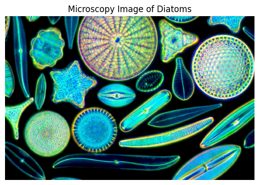 ../../_images/d0ec36792c3aaf73cace315e756ca8136a07b8d41a5ac60eb48f44d10586846f.png