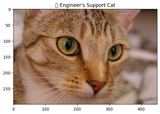 ../../_images/d91d5a8ad662b7e2078918bd37c7deb69d812aaf50a705b5b520904ba2fbb37a.png