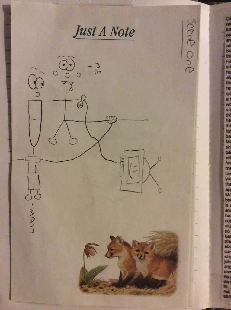 diary