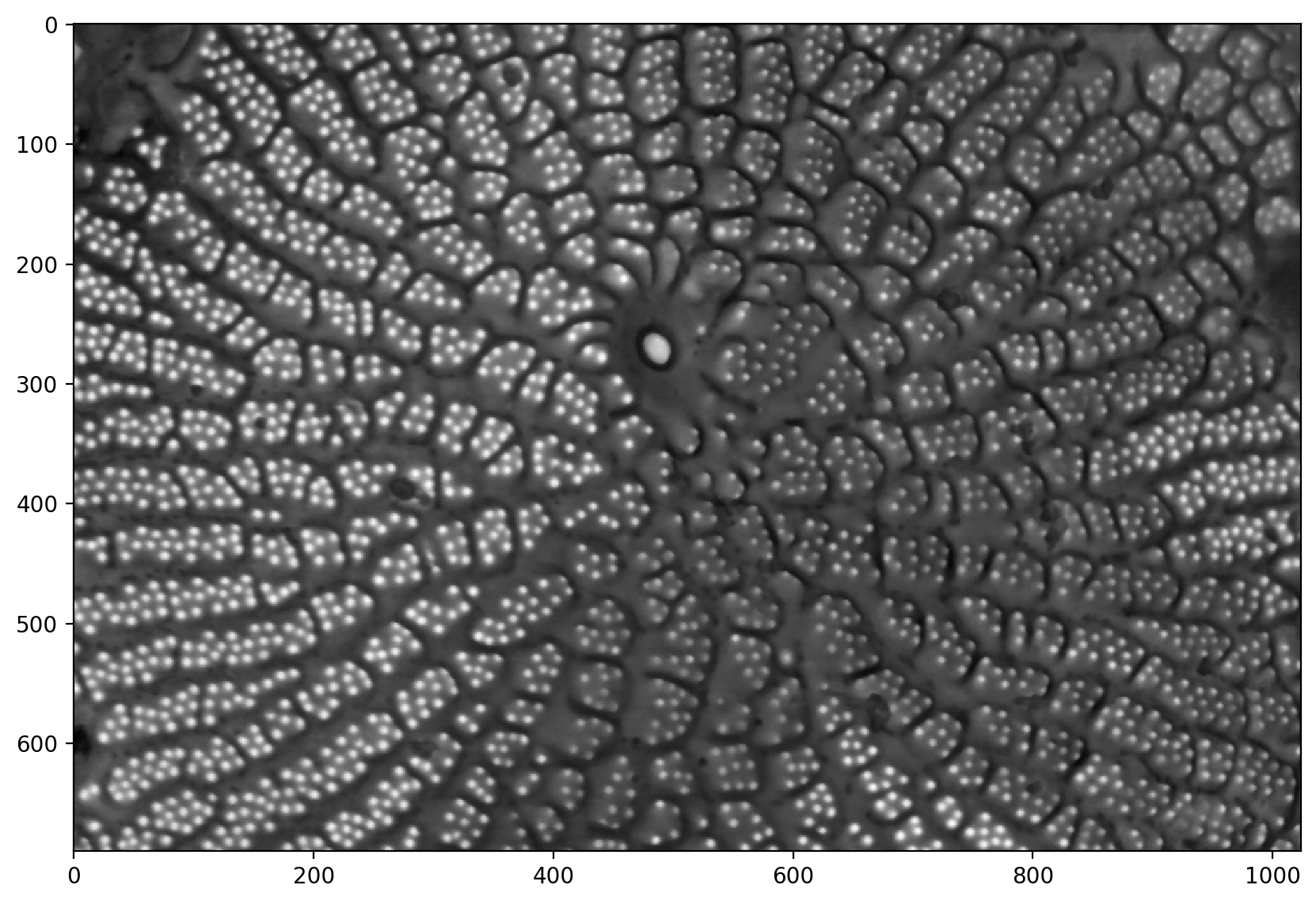 ../_images/Image_Analysis_226_1.png