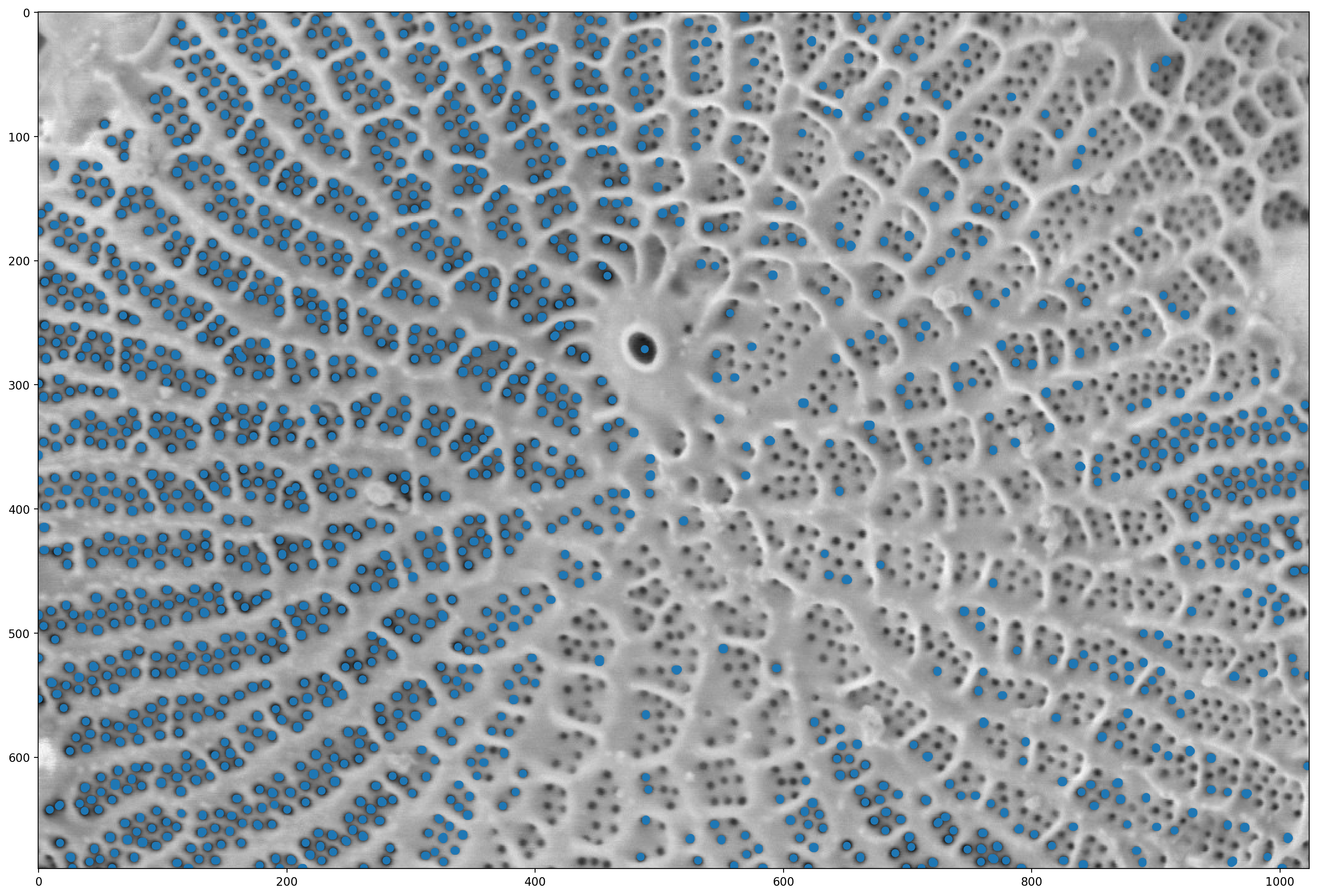 ../_images/Image_Analysis_230_1.png