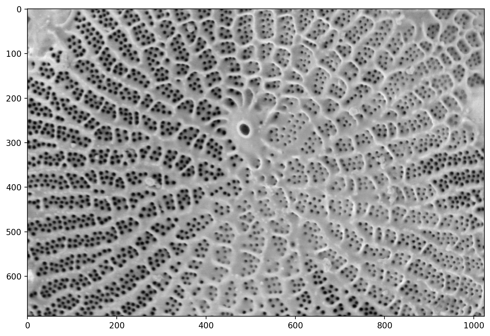 ../_images/Image_Analysis_223_1.png
